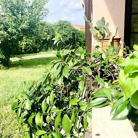 Raffinatezza Rustica Nella Campagna Veneziana *