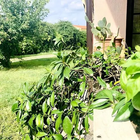Raffinatezza Rustica Nella Campagna Veneziana *