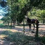 Raffinatezza Rustica Nella Campagna Veneziana *