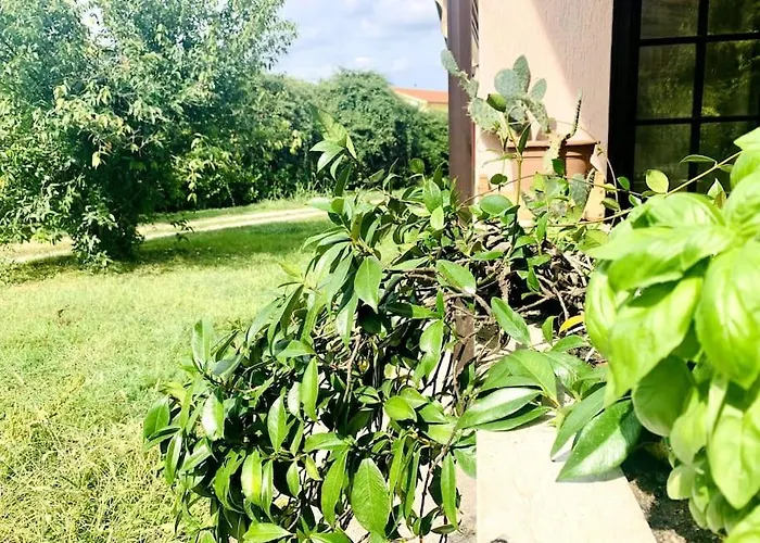 Raffinatezza Rustica Nella Campagna Veneziana *